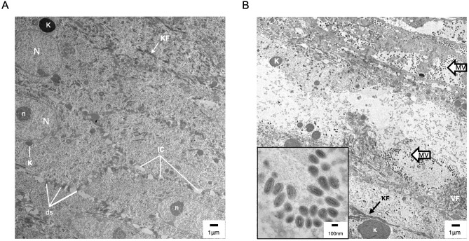 Figure 6