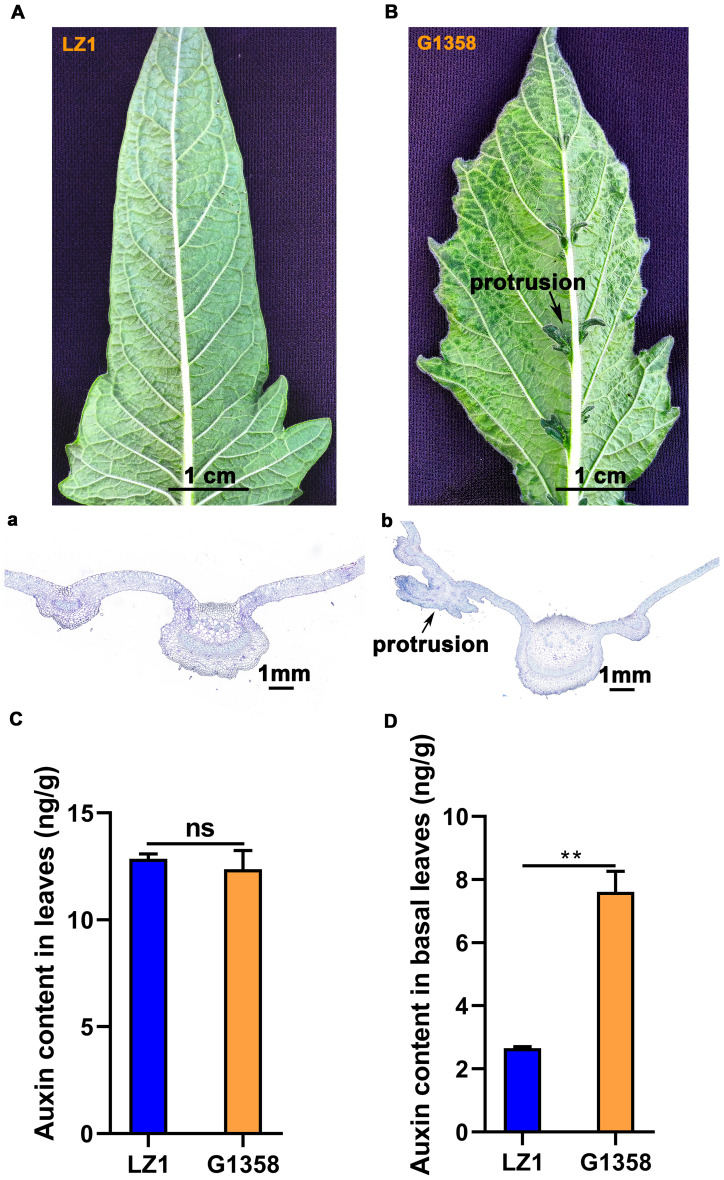 Figure 1
