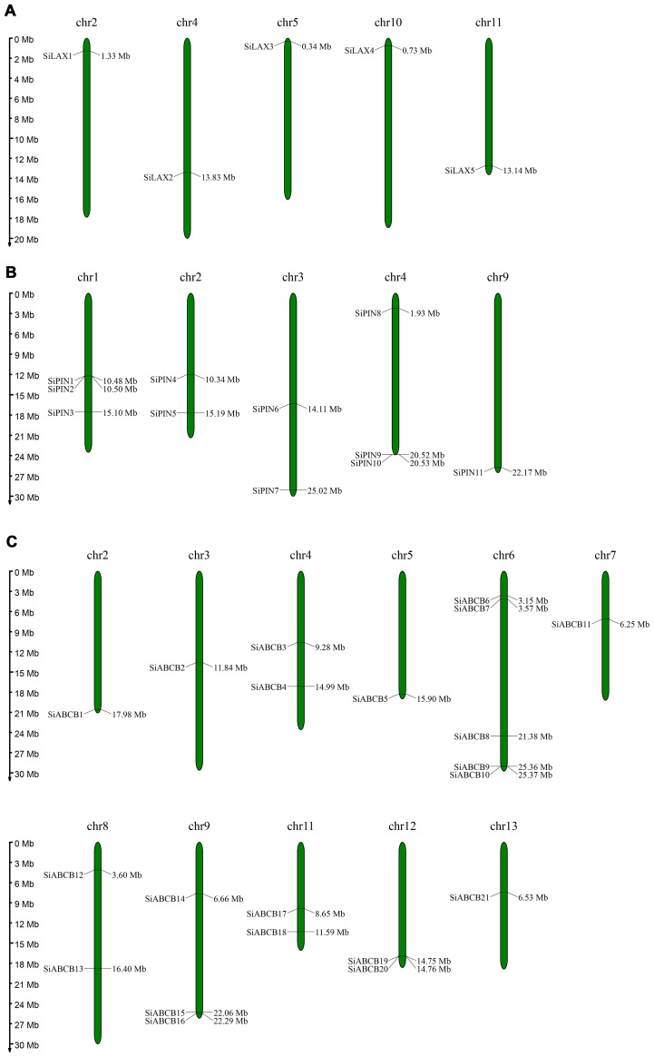 Figure 4