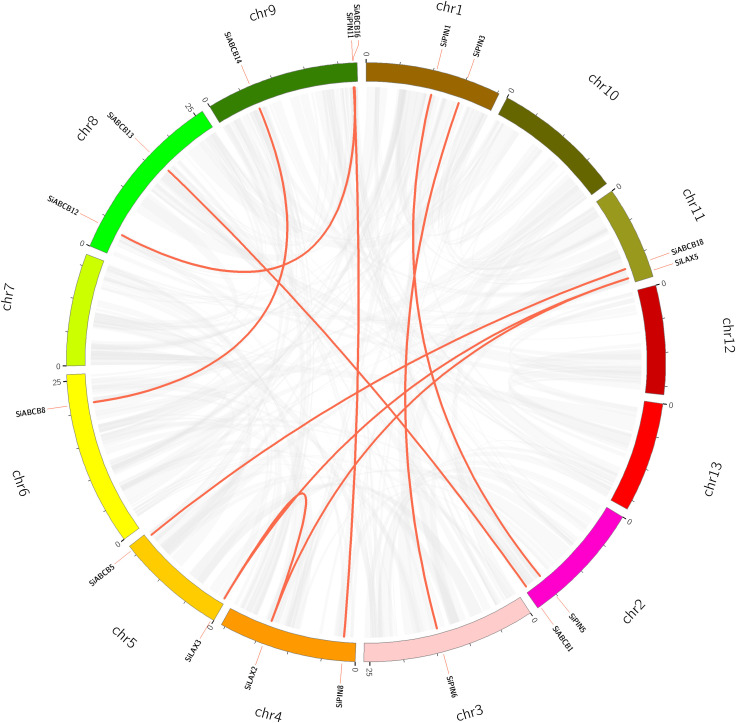 Figure 5