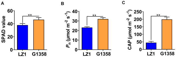 Figure 10