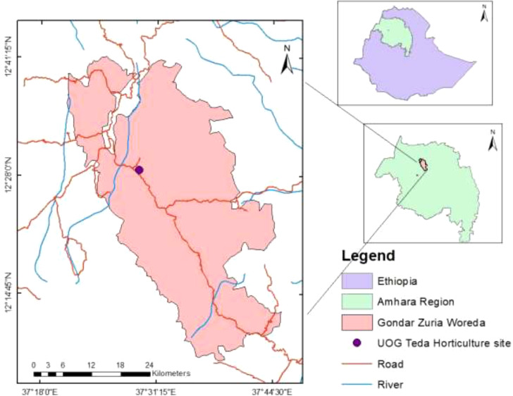 Figure 1
