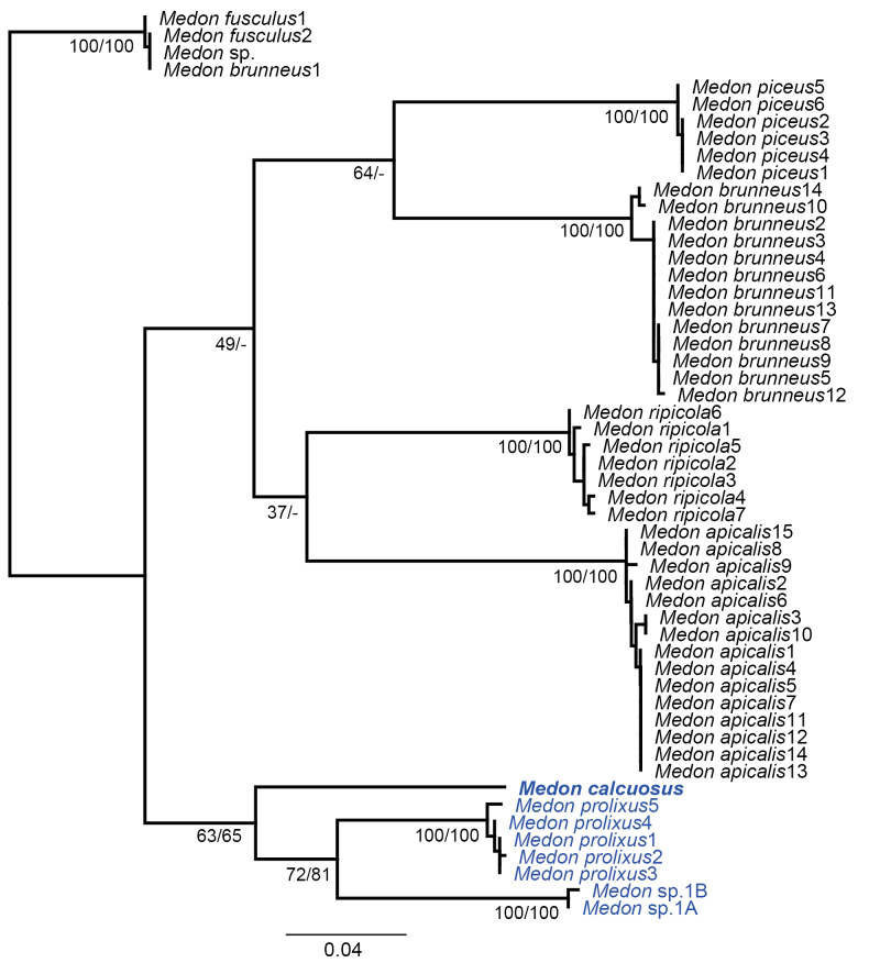Figure 6