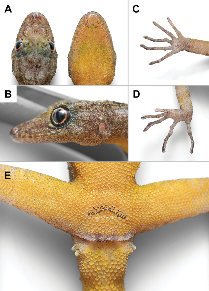 Figure 5