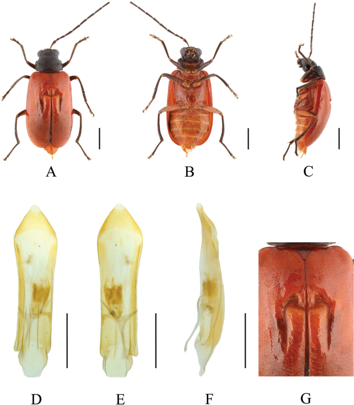 Figure 6