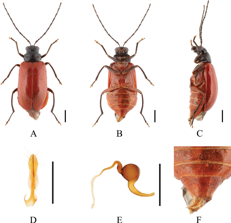 Figure 7