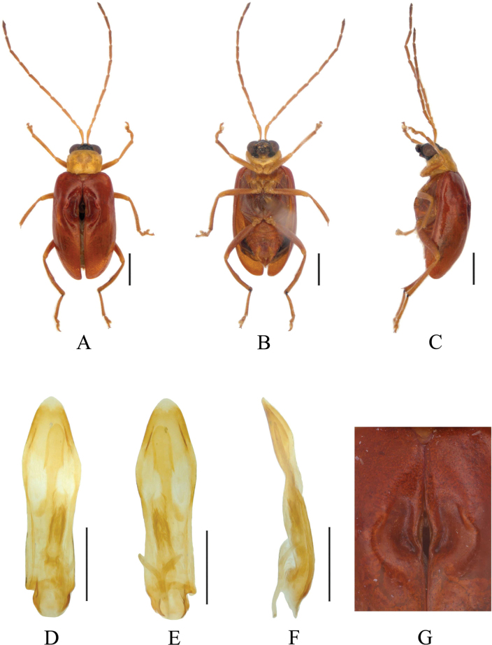 Figure 9