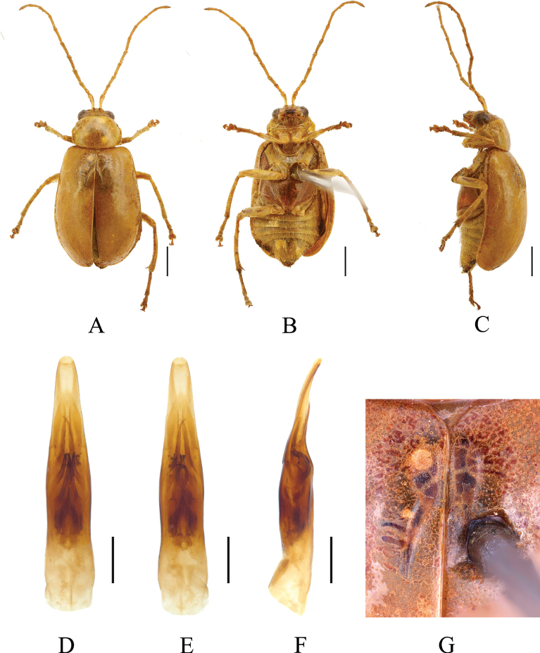 Figure 12