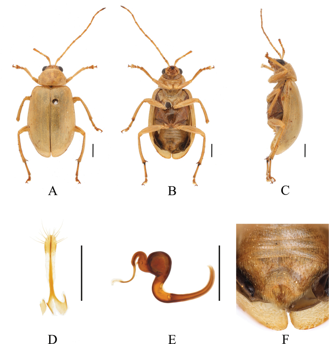 Figure 13
