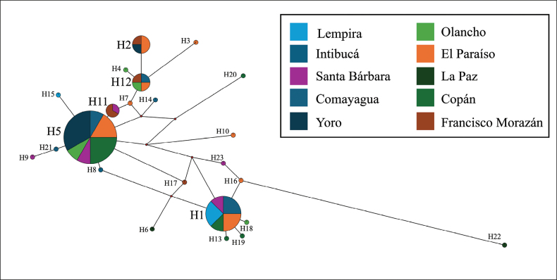 Figure 5