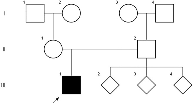 Figure 1