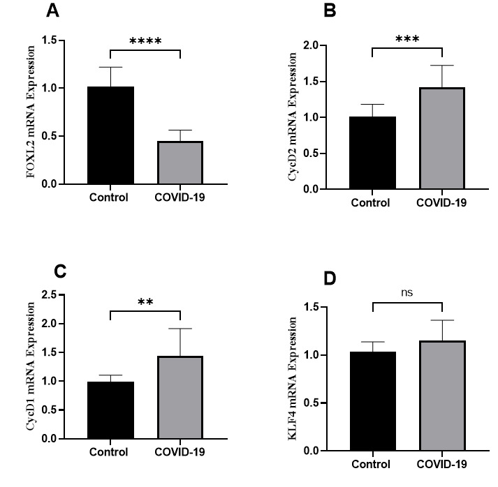 Figure-3