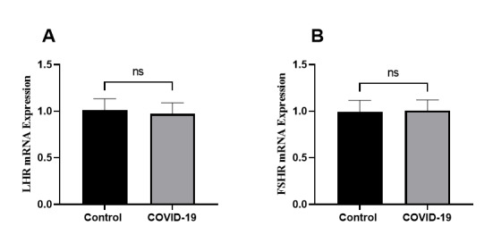 Figure-4