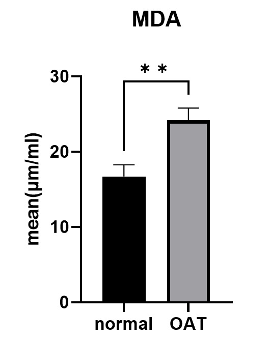Figure-1