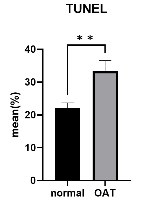Figure-4