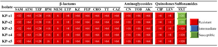 Figure-1