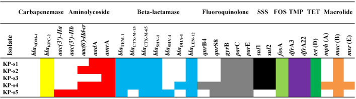 Figure-3