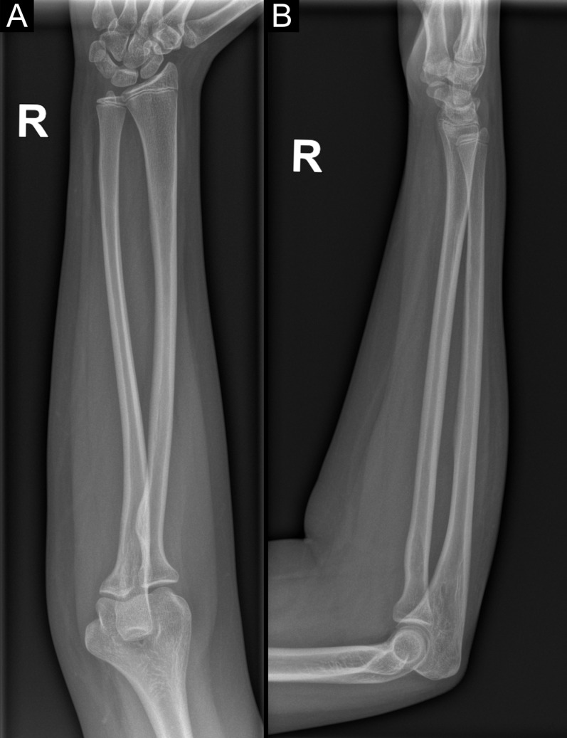 Fig 7