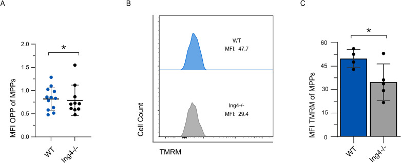 Fig 4