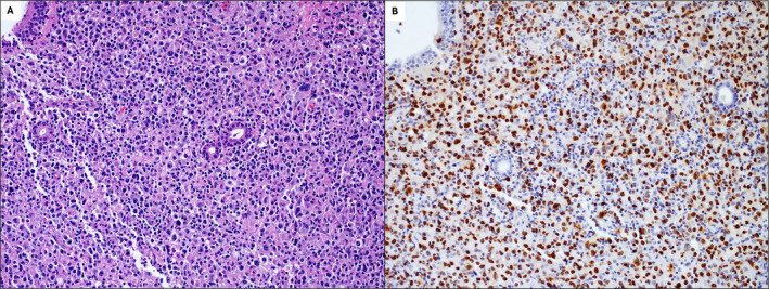 FIGURE 4