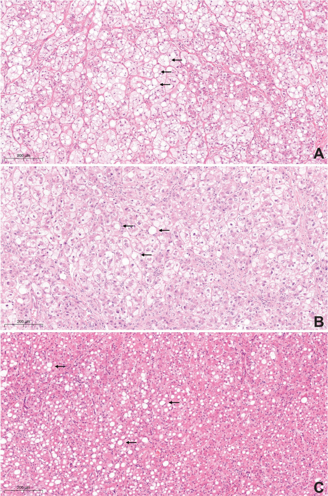 FIGURE 3