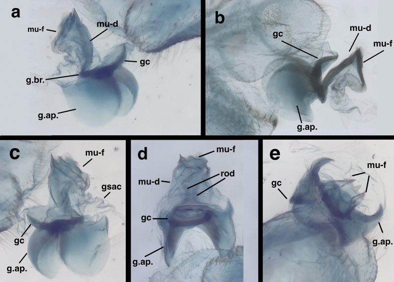 Figure 9
