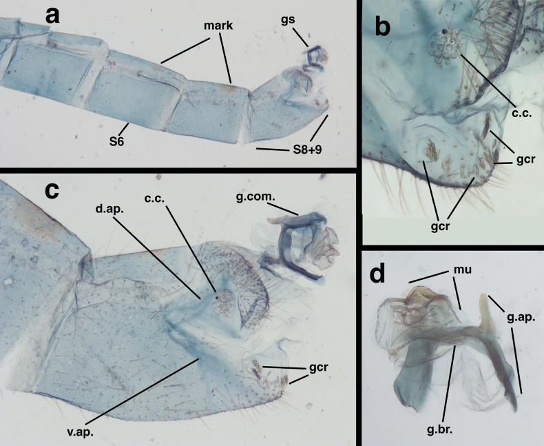 Figure 13