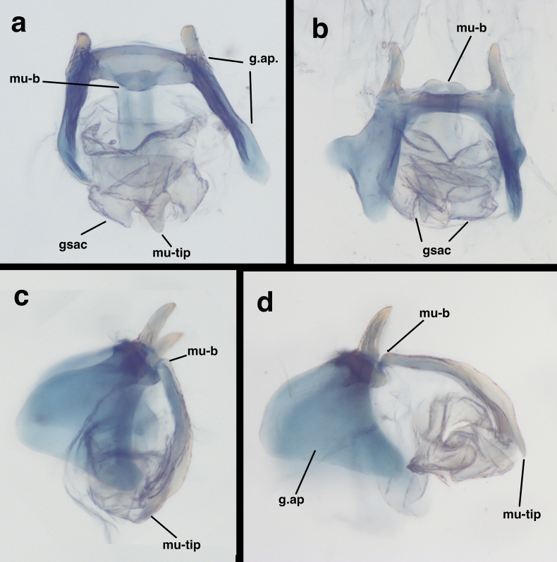 Figure 14