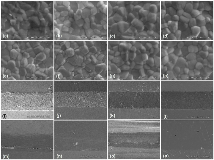 Figure 13