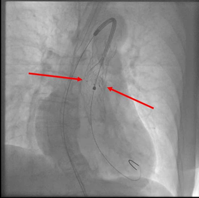 Figure 8