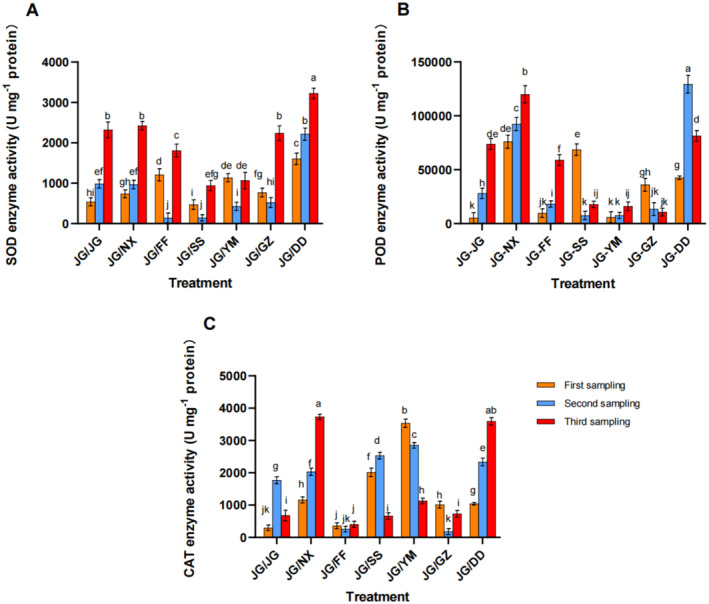 FIGURE 3