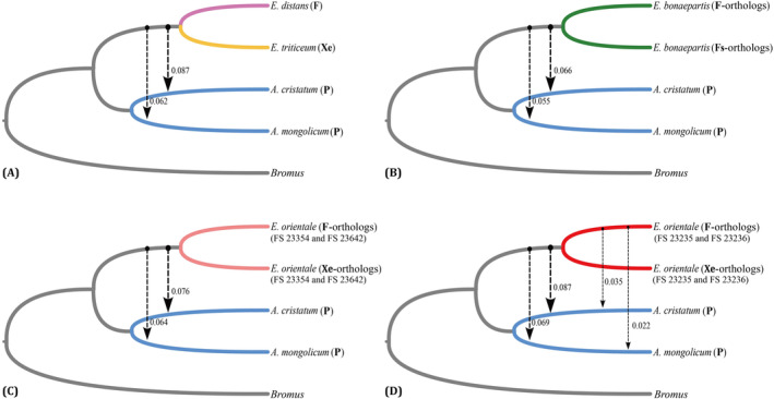 FIGURE 3