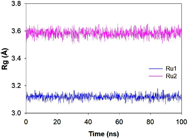 FIGURE 11