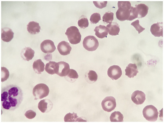 Figure 7