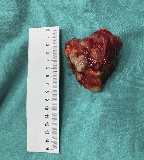 Figure 8