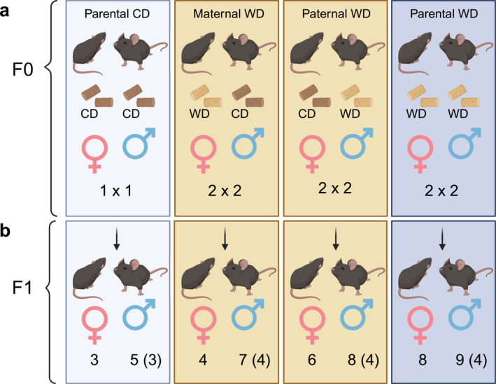 FIGURE 1