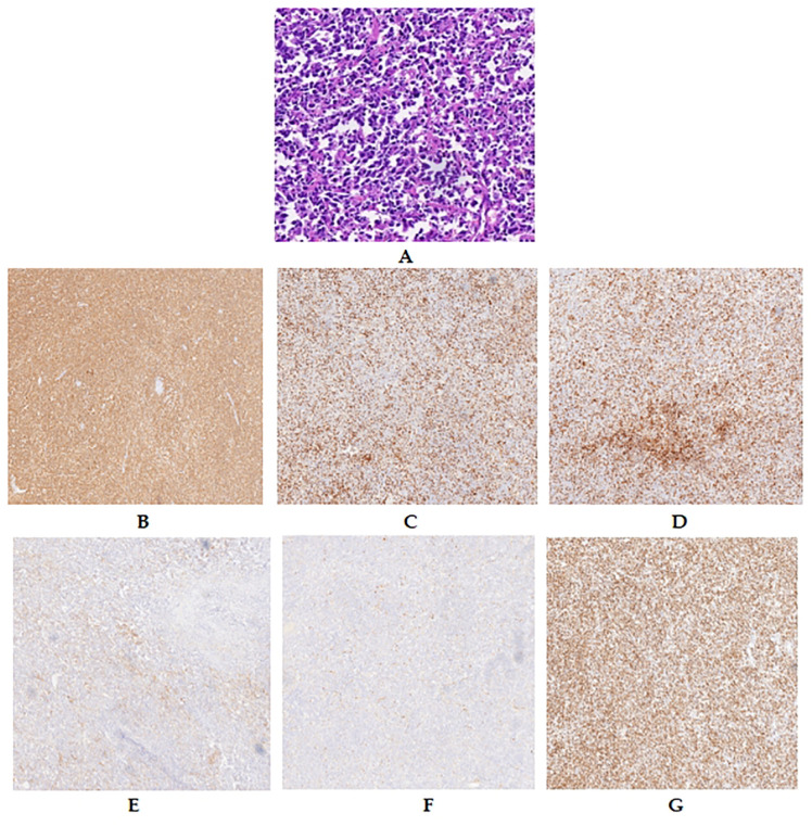 Figure 4