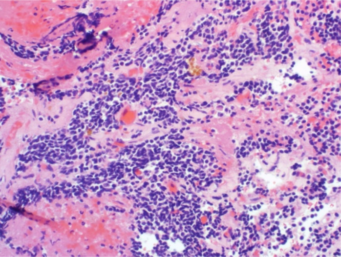 Figure 3
