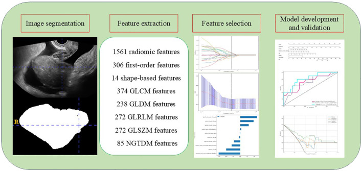 Figure 1