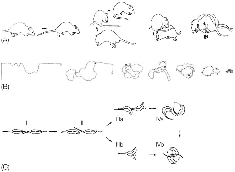 Figure 17