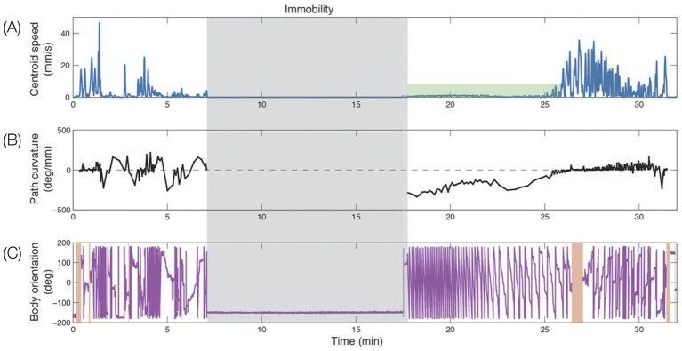 Figure 19
