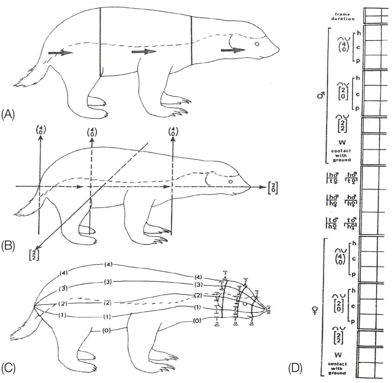 Figure 20