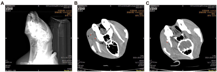 Figure 2
