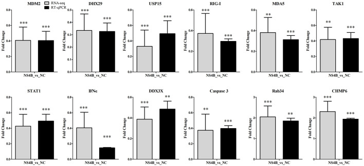 Figure 5