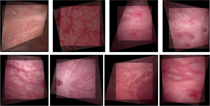 Fig 3