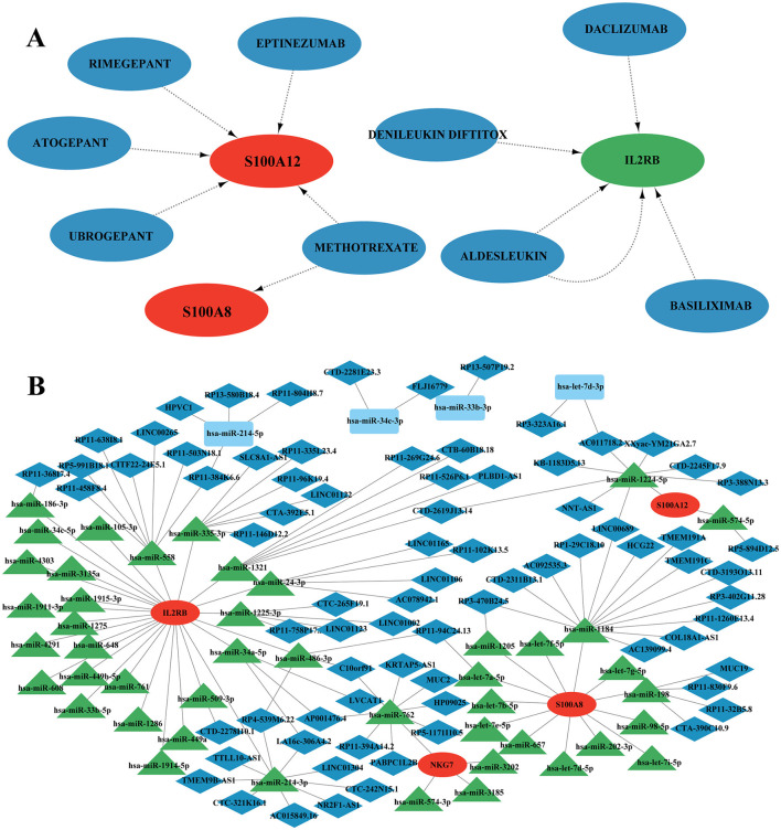 Figure 11