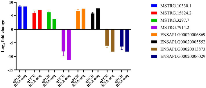 Figure 6