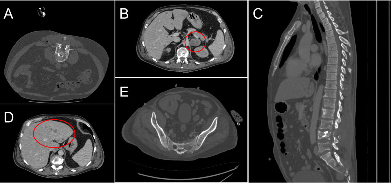 Figure 2