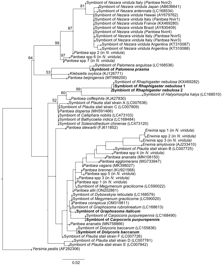 Figure 1