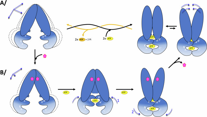 Figure 7
